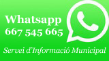 Servei Whatsapp