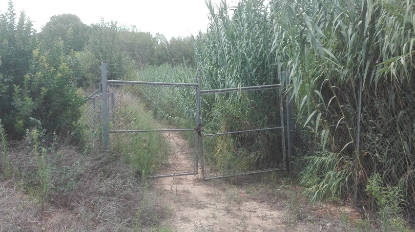 Riba-roja denuncia la falta de seguridad en el Parque Natural del Tria debido a unos accesos de emergencia intransitables