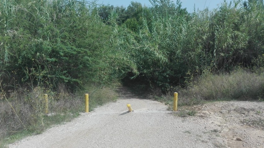 Riba-roja denncia la falta de seguretat al Parc Natural del Tria a causa d'uns accessos d'emergncia intransitables