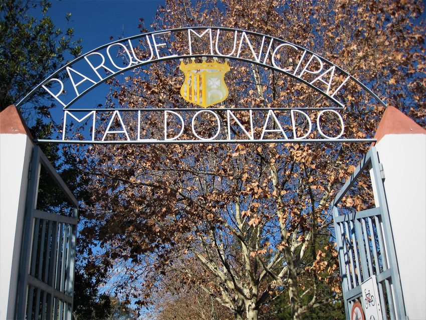 Riba-roja es prepara per a les seues nits de cinema d'estiu al Parc Municipal Maldonado