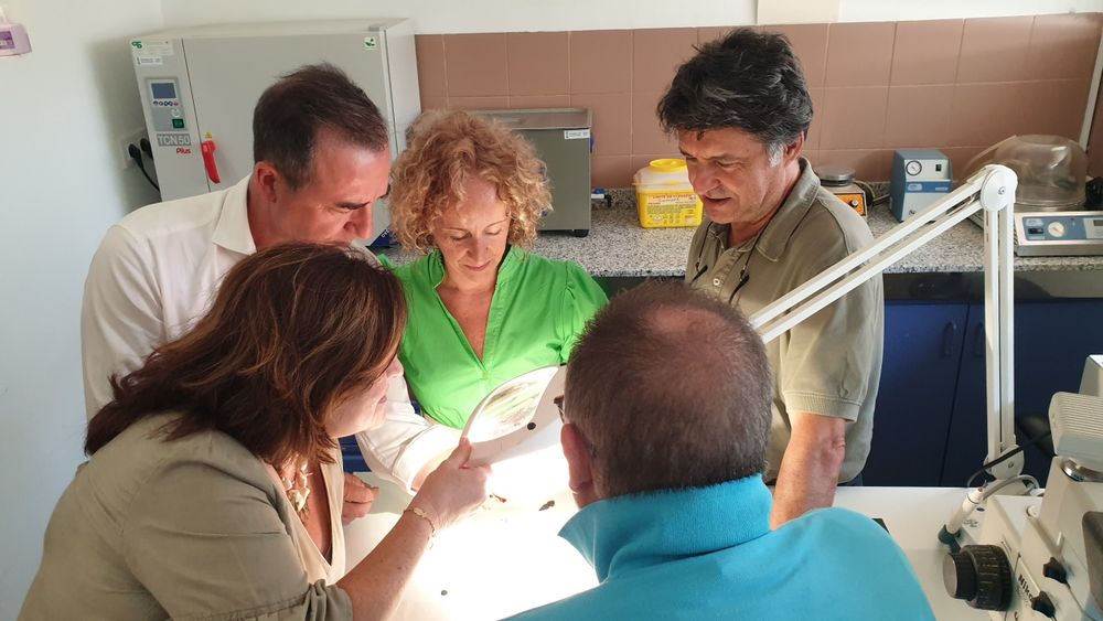 Riba-roja recupera una desena de peces metlliques procedents de les excavacions de Valncia la Vella, restaurades per l'Institut valenci de Conservaci i Restauraci