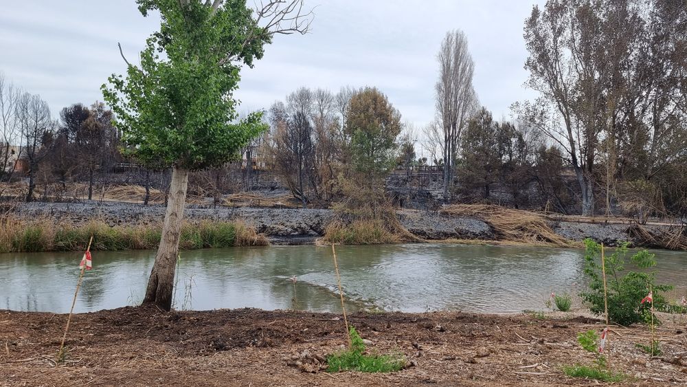 Riba-roja acuerda una serie de medidas para hacer frente a los incendios en el Parque Natural del Tria