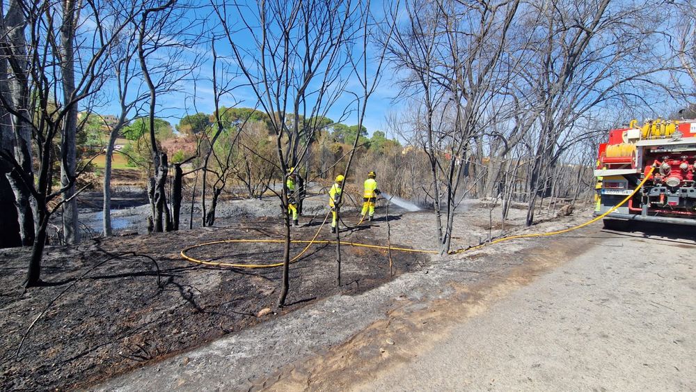 Riba-roja acuerda una serie de medidas para hacer frente a los incendios en el Parque Natural del Tria