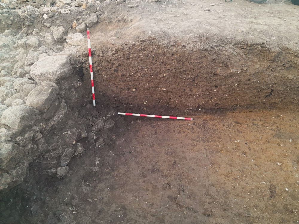 Las excavaciones en Valencia La Vella desvelan evidencias de reocupacin en el siglo VIII