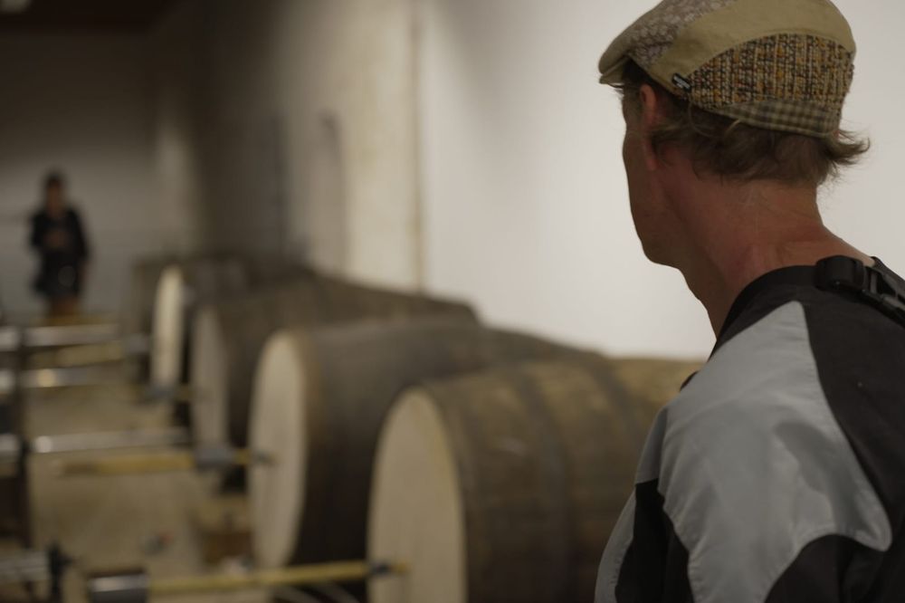 Int3rmit3ncias: art, tecnologia i pensament h�brid en l'E CA de Riba-roja