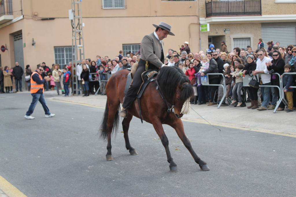 Las mascotas de Ribarroja reciben su bendicin en la festividad de San Antonio Abad