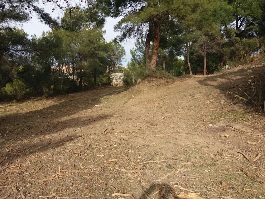Riba-roja realiza una faja cortafuegos en la parcela municipal de Les Paretotes para evitar cualquier conato de incendio