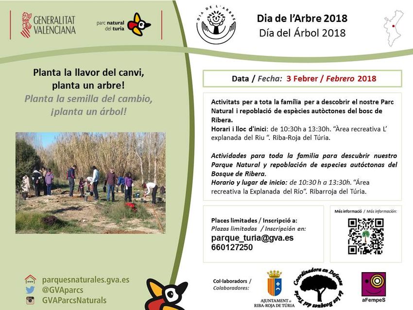 Riba-roja celebrar el Dia de l'Arbre amb una plantaci popular el 3 de febrer a l'rea recreativa del riu