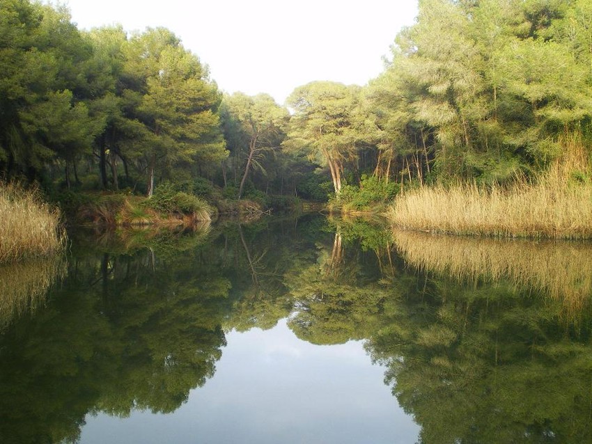 La Generalitat amplia la protecci de la Vallesa entre l'Horta i el Camp de Tria per a evitar agressions sobre el seu ecosistema