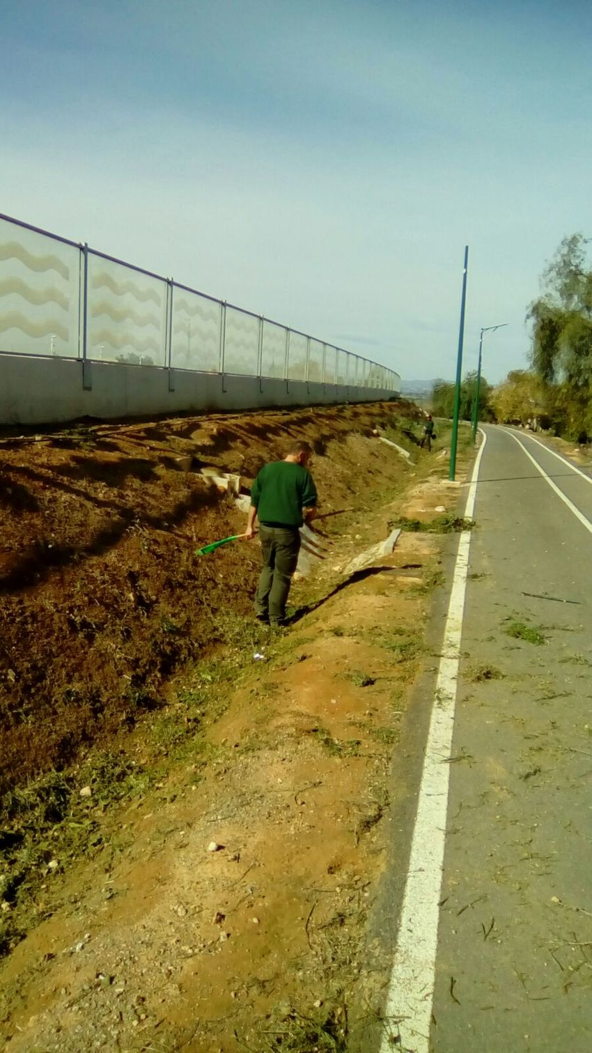 Trabajos realizados de las brigadas de jardinera del Ayuntamiento de Riba-roja de Tria, explicando mediante mapas las zonas de actuacin.