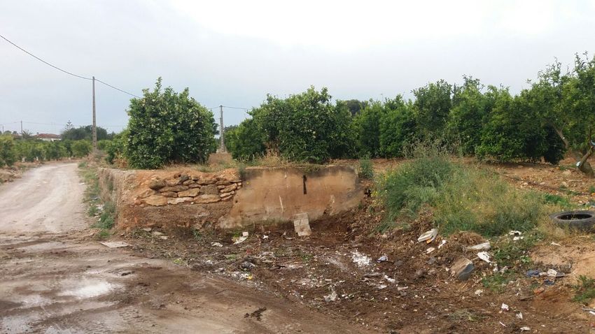 L'Ajuntament retira 26760 quilos de residus d'abocadors incontrolats de zones disseminades