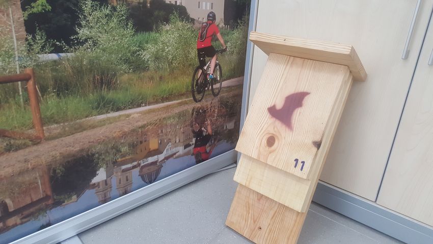 Riba-roja instala cajas para murcilagos para luchar contra el mosquito tigre en parques, barrancos y jardines pblicos