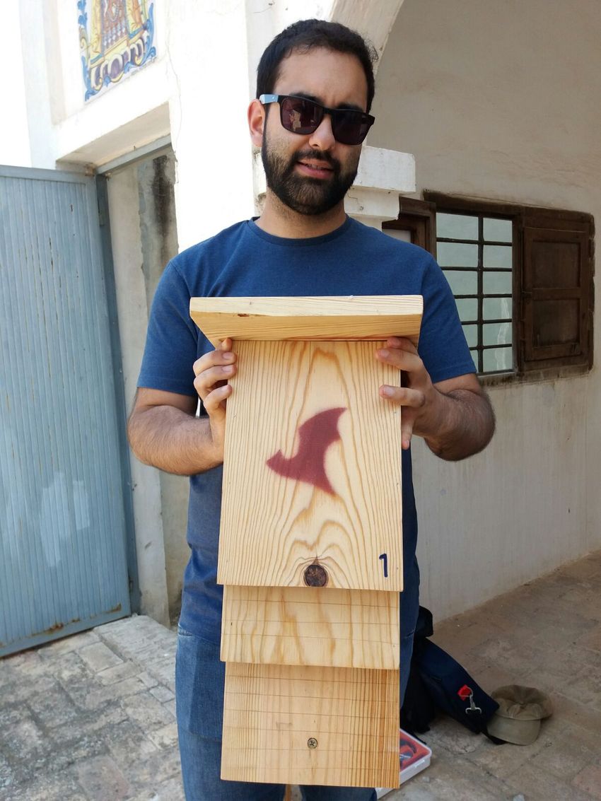 Riba-roja instala cajas para murcilagos para luchar contra el mosquito tigre en parques, barrancos y jardines pblicos