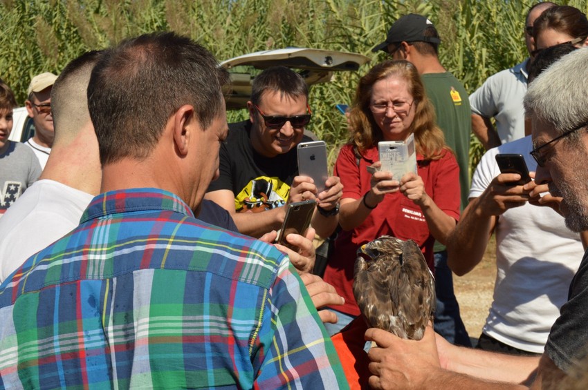 Riba-roja reintroduce cien ejemplares de fauna silvestre en el Parque Natural del Tria